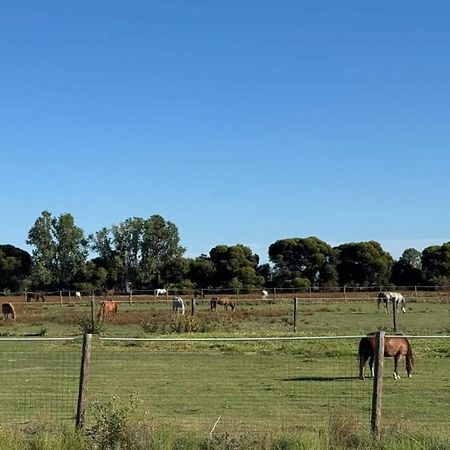 Lazy River Motor Inn Swan Hill Buitenkant foto