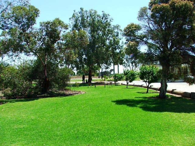 Lazy River Motor Inn Swan Hill Buitenkant foto