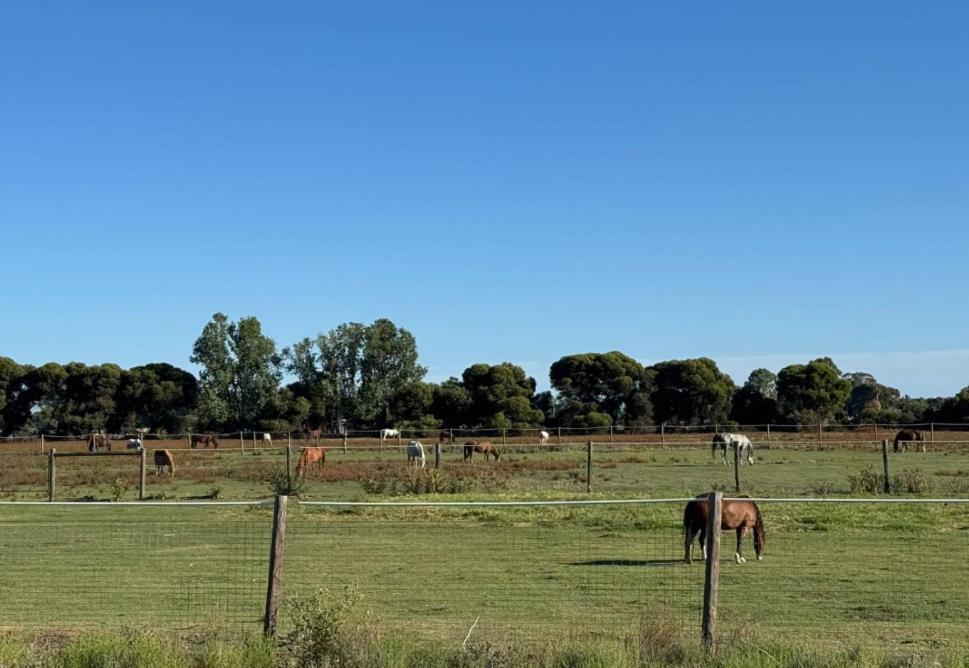 Lazy River Motor Inn Swan Hill Buitenkant foto